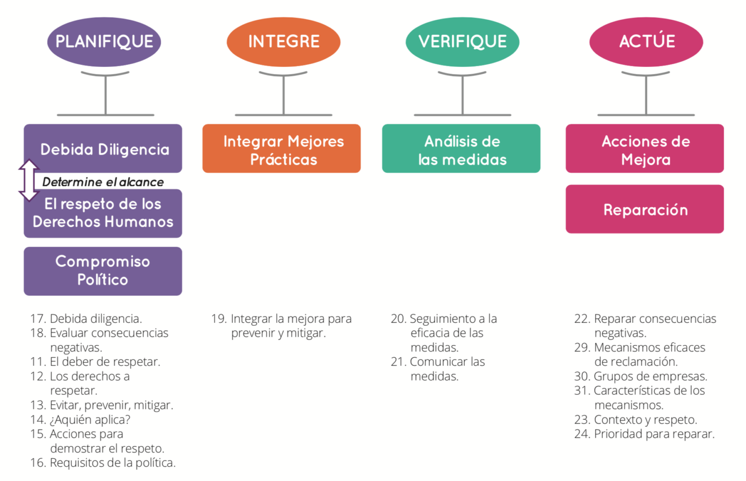 Estructura Para Interpretar Los Principios Rectores | COHEP - Empresas ...